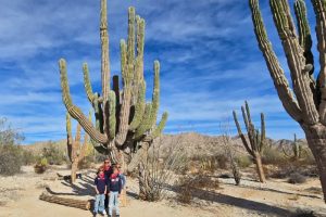 Luxury family holidays